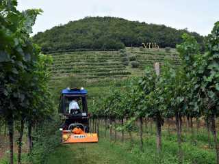 Mulčovač DELEKS LINCE-SP165 (pro traktor 25-45 HP)