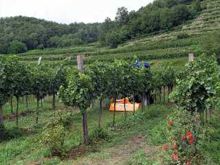 Mulčovač DELEKS LINCE-140 (pro traktor 20-40 HP)